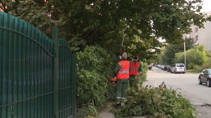 Громкое увольнение! По какой именно причине попрощался со своей должностью директор МБУ «Чистота»