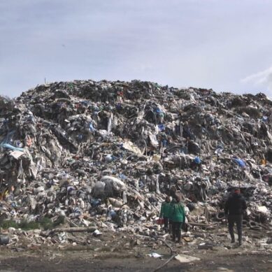 В области планируют утилизировать мусор, чтобы снизить нагрузку на полигоны