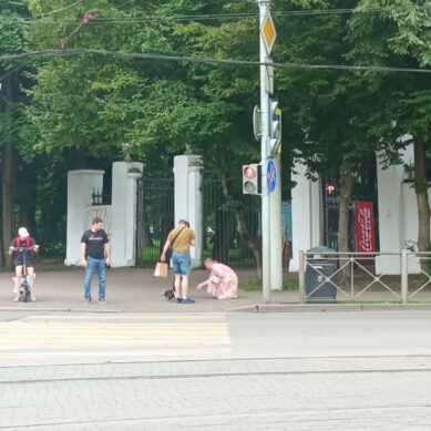 Калининградка пожаловалась на короткое время сигнала светофора рядом с Драмтеатром