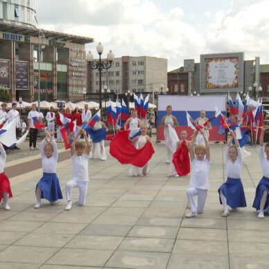 Сегодня в Калининграде отметили День российского флага