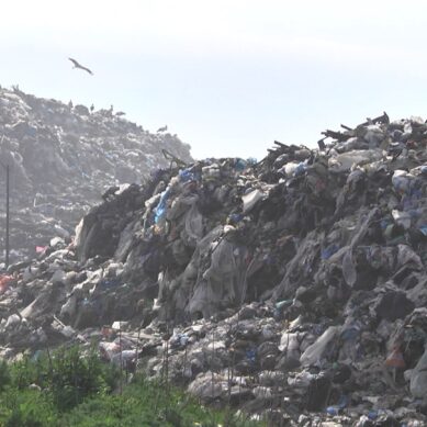 Росприроднадзор выявил 25 экологических нарушений на мусорном полигоне в Круглово