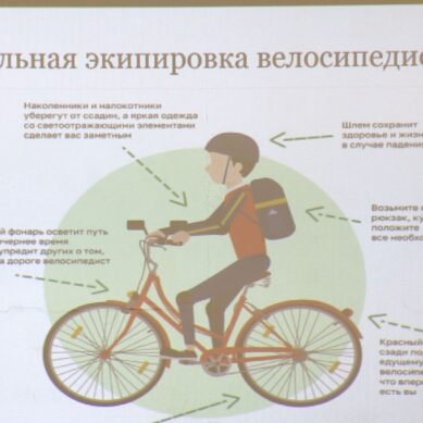 В Светлогорске прошел открытый урок по правилам поведения на дороге