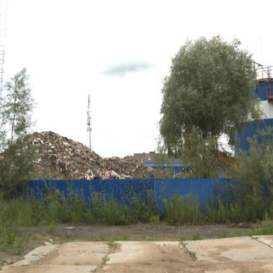 Свалку на Туруханской в Калининграде расчистят к сентябрю. Туда свозили отходы с полигона в Круглово