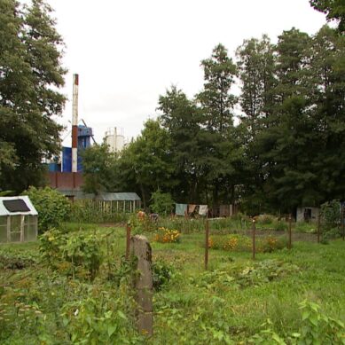 Жители садового товарищества в Гурьевском районе несколько лет борются предприятием, где производят асфальт