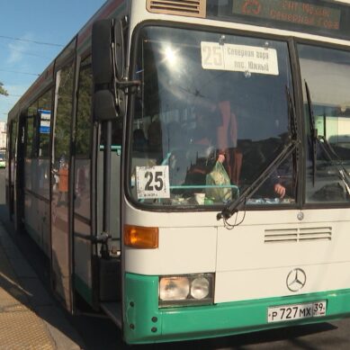 Власти Калининграда выделили свыше полумиллиарда рублей на покупку новых автобусов