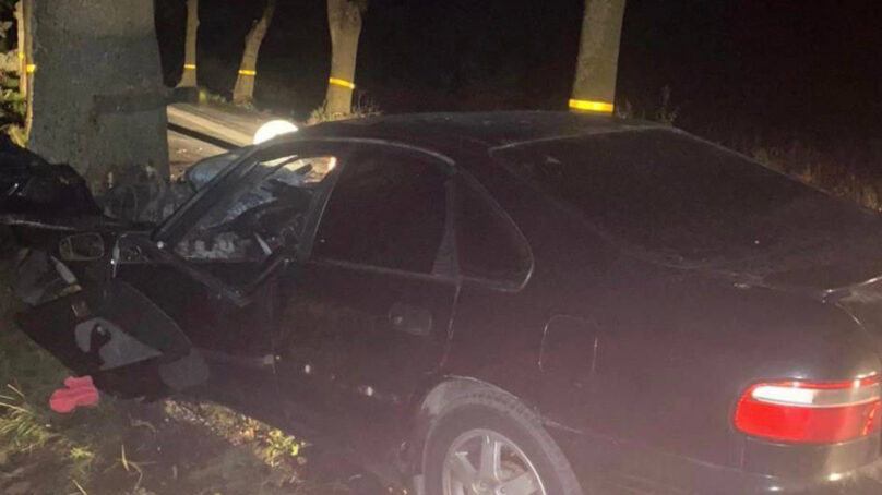 В Зеленоградском районе 19-летний водитель врезался в дерево
