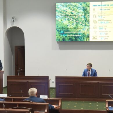 Депутаты Заксобрания приняли поправки в закон об областном бюджете на 2023 год