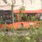 Стало известно, почему у некоторых калининградских автобусов работает только передняя дверь