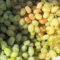 В Калининградскую область ввезли 217 тонн импортного винограда