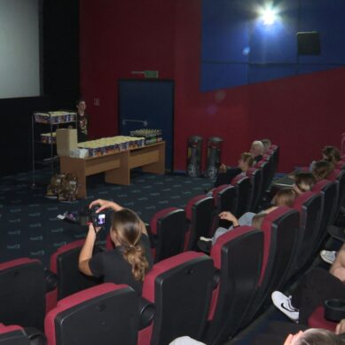 В одном из кинотеатров Калининграда подвели итоги проекта «Включайся и будь успешен!»