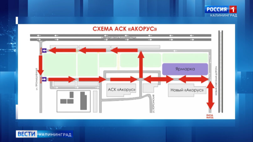 В Калининграде организуют бесплатный автобус до ярмарки выходного дня рядом с «Акорусом»