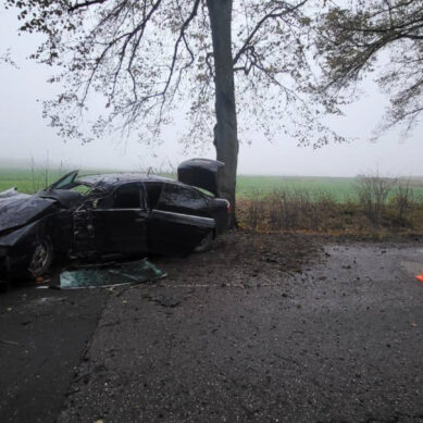 В Зеленоградском районе иномарка врезалась в дерево, пострадал водитель