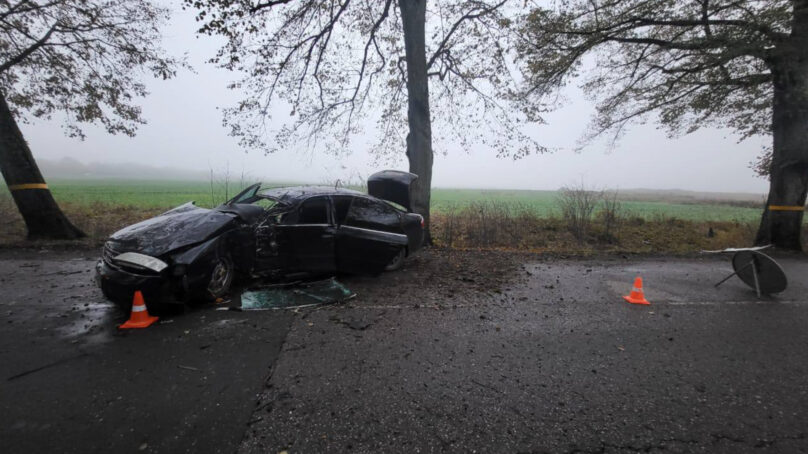В Зеленоградском районе иномарка врезалась в дерево, пострадал водитель