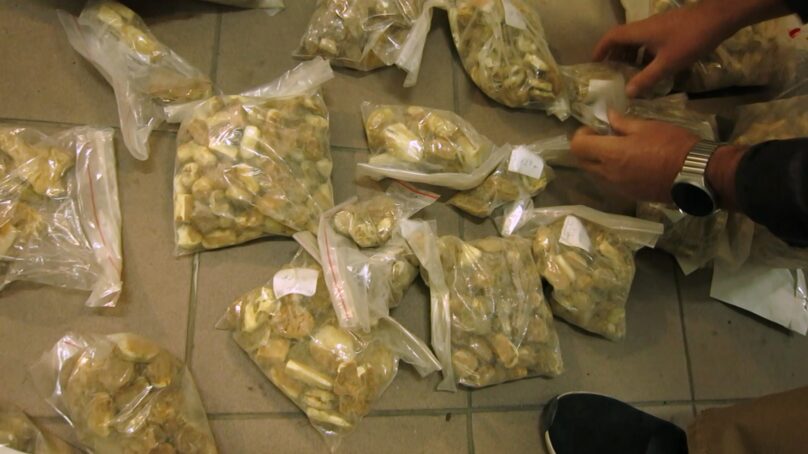 Янтарь, косметику и одежду, которые пытались незаконно вывезти в Литву, калининградская таможня передала Росимуществу