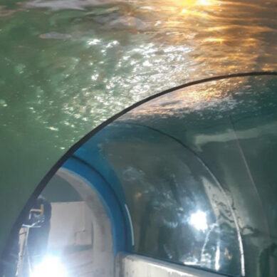 В новом корпусе «Планета Океан» тестируют огромные аквариумы