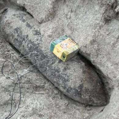 Сотрудники МЧС уничтожили авиационную бомбу времён ВОВ, найденную на Куршской косе