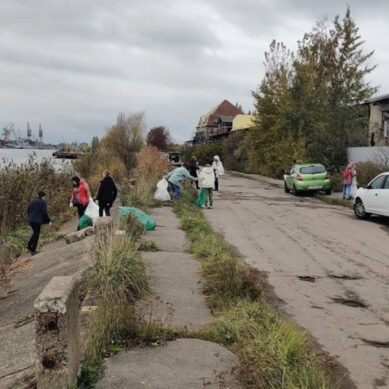 Берега реки Преголи в Калининграде очищены от мусора