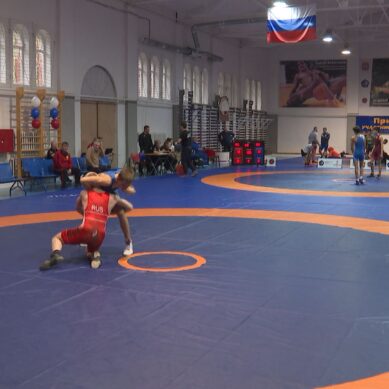 Ежегодные соревнования по вольной борьбе прошли в специализированном спортзале на Ореховой