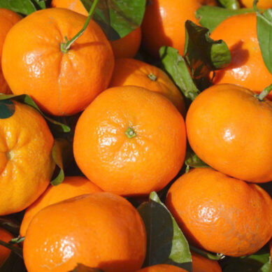 3,5 тыс. тонн мандаринов ввезли в Калининградскую область с начала года