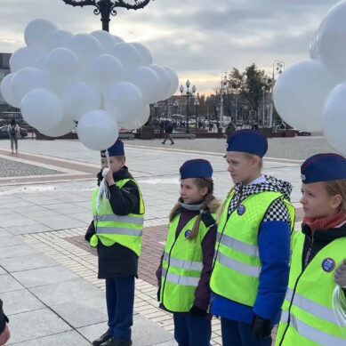 В Калининграде провели акцию в память о жертвах ДТП
