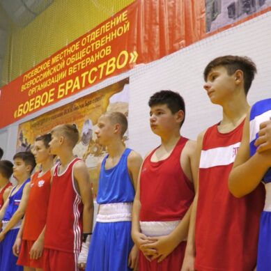В Гусеве состоялись финальные бои на Первенстве Министерства образования Калининградской области по боксу