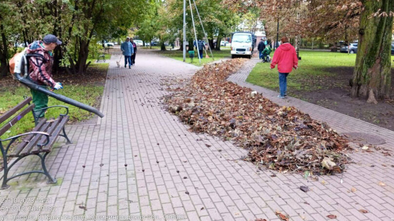 За три дня с улиц Калининграда вывезли более 8 тысяч мешков с листвой