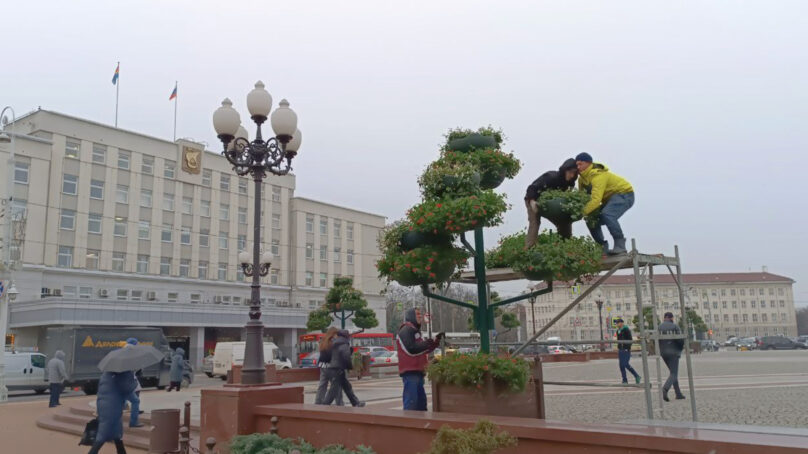 С площади Победы в Калининграде уберут цветы из-за холодов