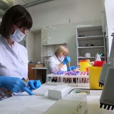 В Калининградской области снижается заболеваемость гриппом и ОРВИ