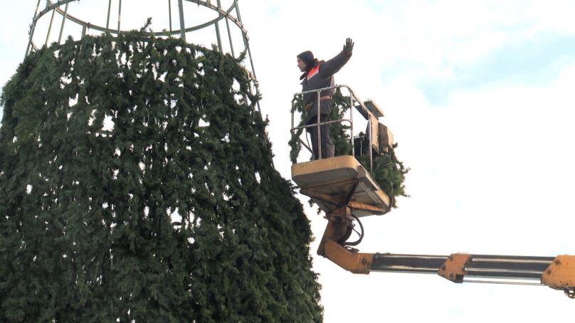 В Калининграде продолжается установка новогодней елки на Площади Победы