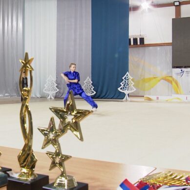 На базе многофункционального спортзала «Созвездие» в Калининграде провели региональные соревнования по ушу