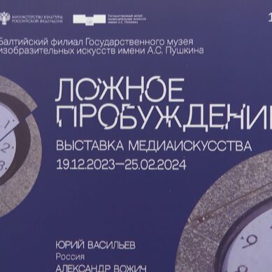 Выставка «Ложное пробуждение» открылась в Балтийском филиале государственного музея изобразительных искусств имени Пушкина