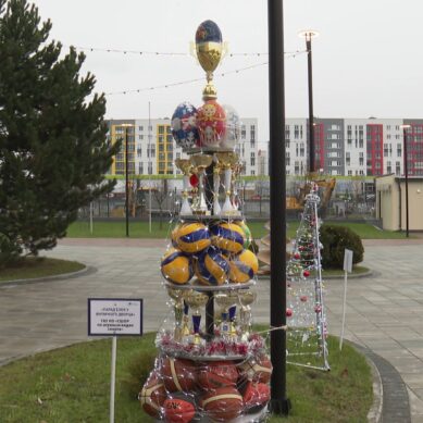 Экспозиция «Парад ёлок у Янтарного дворца» в Калининграде
