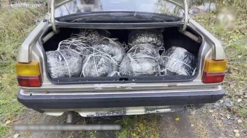 В суд передано уголовное дело о контрабанде янтаря на сумму в 25 миллионов рублей