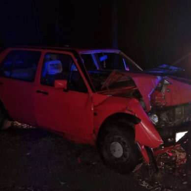 В Зеленоградском округе водитель Volkswagen не справился с управлением и врезался в дерево