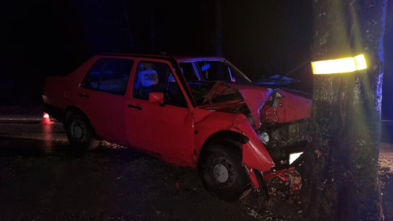 В Зеленоградском округе водитель Volkswagen не справился с управлением и врезался в дерево