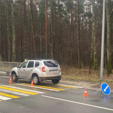 На трассе «Калининград – Балтийск» водитель Renault сбила пенсионерку