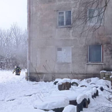 В Советске из горящего дома пожарные эвакуировали пять человек, собаку и два газовых баллона