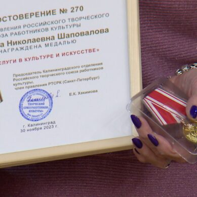 В Калининградской области впервые прошла церемония награждения медалью «За заслуги в культуре и искусстве»