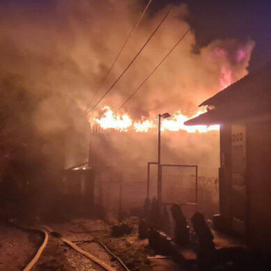 На территории СНТ «ЦБЗ-1» в Калининграде крупный пожар