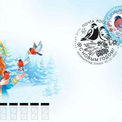 Снегирь в веточках рябины. В Калининграде показали новогоднюю почтовую марку