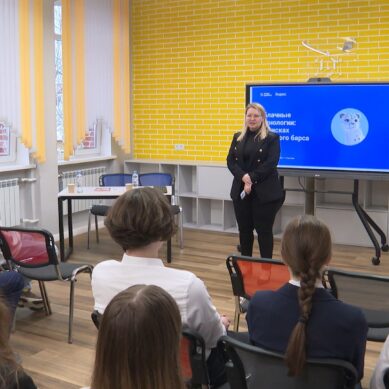 Калининградские школьники приняли участие в необычном занятии «Урока цифры»