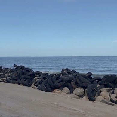 Росприроднадзор потребовал очистить побережье Балтийского моря в посёлке Лесном от покрышек, которые загрязняют окружающую среду