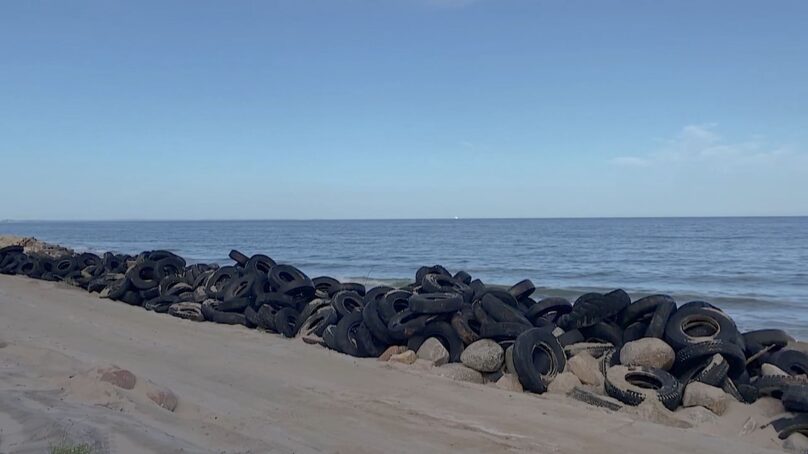 Росприроднадзор потребовал очистить побережье Балтийского моря в посёлке Лесном от покрышек, которые загрязняют окружающую среду