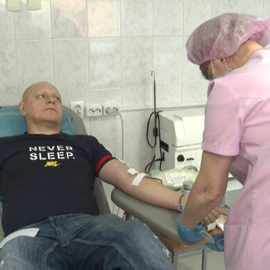 Как заготавливают донорскую кровь, и кто нуждается в её компонентах больше всего?