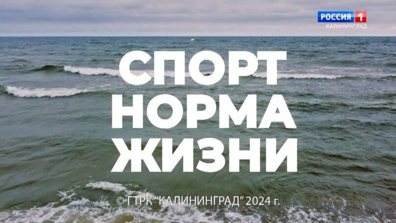 Спорт россия греко римская борьба