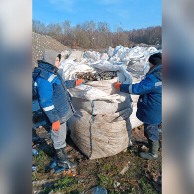 Более 43 тонн стекла из Калининградской области отправлено на переработку в Липецкую область
