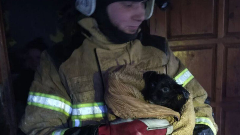 В Правдинском районе из горящего дома спасли четверых человек и собаку