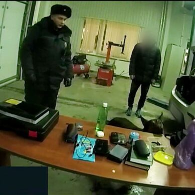На границе с Польшей задержали мужчину, который пытался вывезти за рубеж наркотики