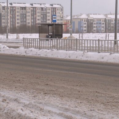 Калининградскую область засыпало снегом