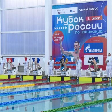 Всё начинается в Калининграде. Первый этап Кубка России по плаванию впервые доверили нашему региону
